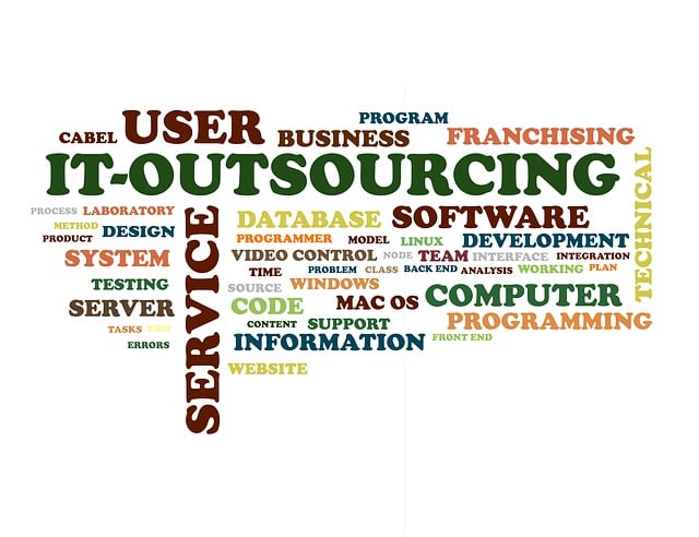 Captive Centre or Vendor Partner Model: Which One Suits Your Business?
